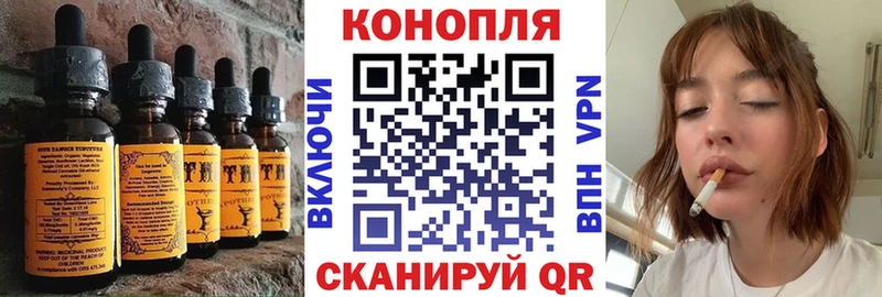 закладка  Серов  darknet состав  Cannafood марихуана 
