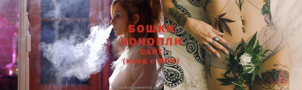 соль ск Арсеньев