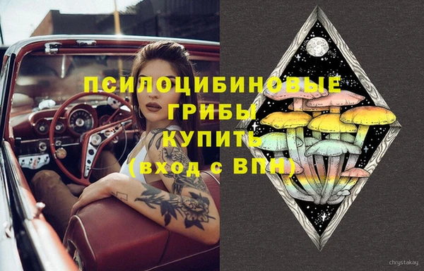 дживик Армянск
