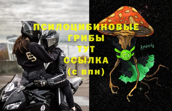 spice Аркадак