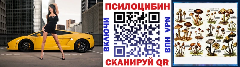 Галлюциногенные грибы Cubensis  Серов 